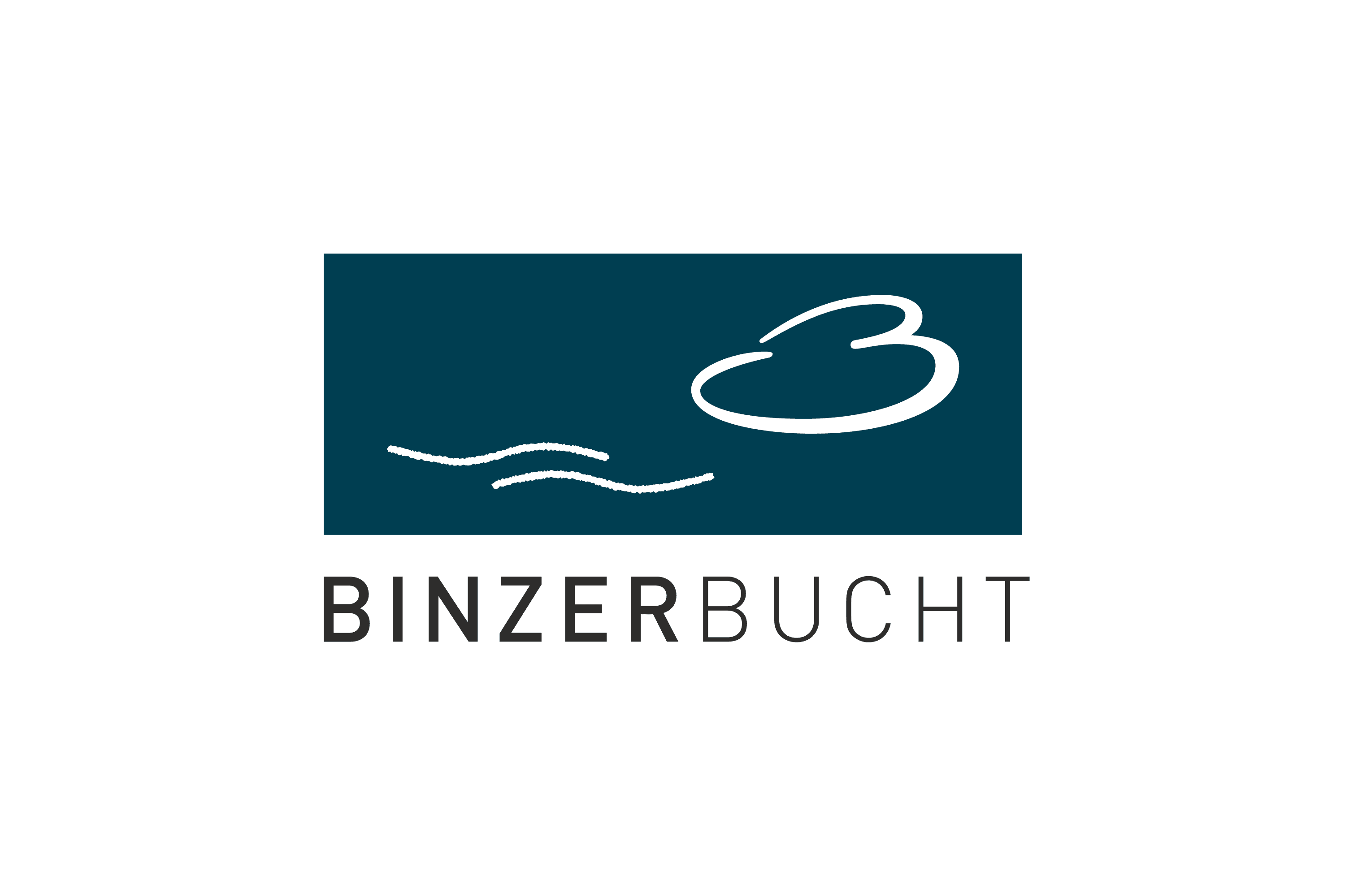 BINZERBUCHT logo with waves and abstract shape