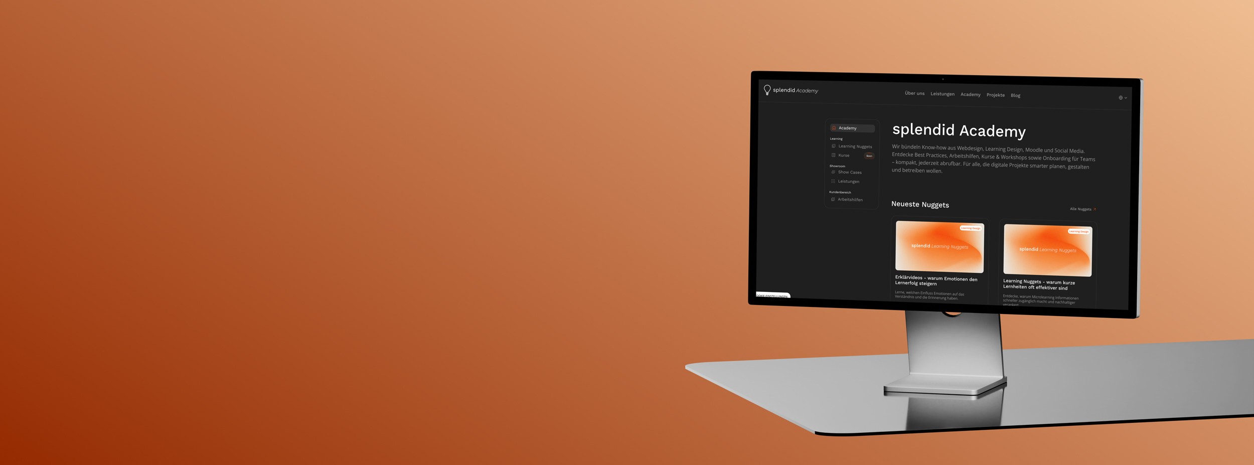 Website splendid learning academy.