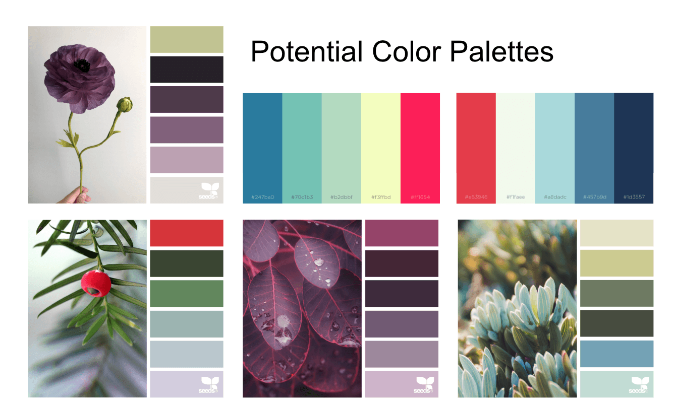 ultiple color palette swatches inspired by nature, including greens, purples, reds, and blues, aimed at evoking calm and energy.