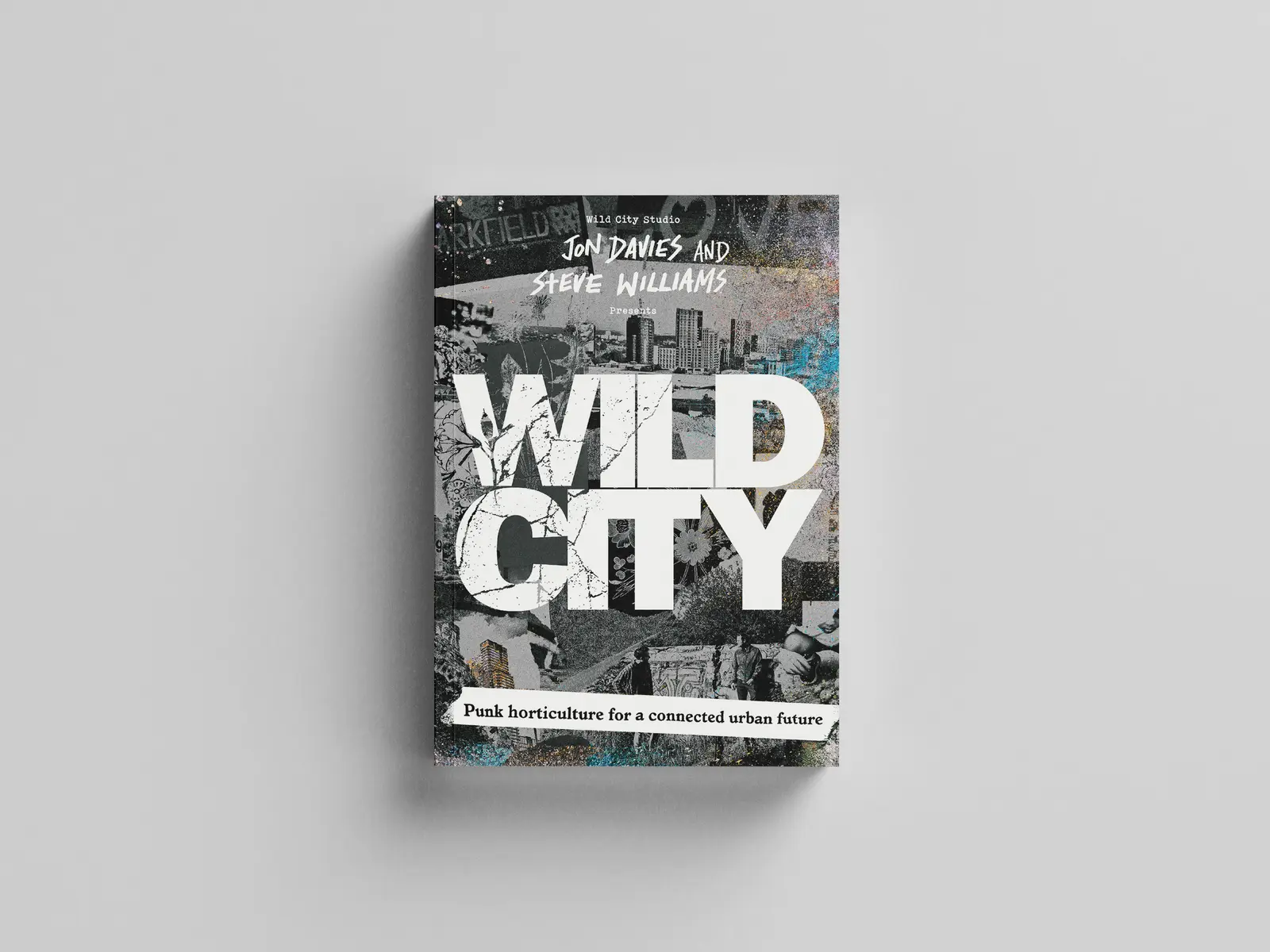 Book titled "Wild City," featuring a cityscape design on the cover, positioned on a light background.
