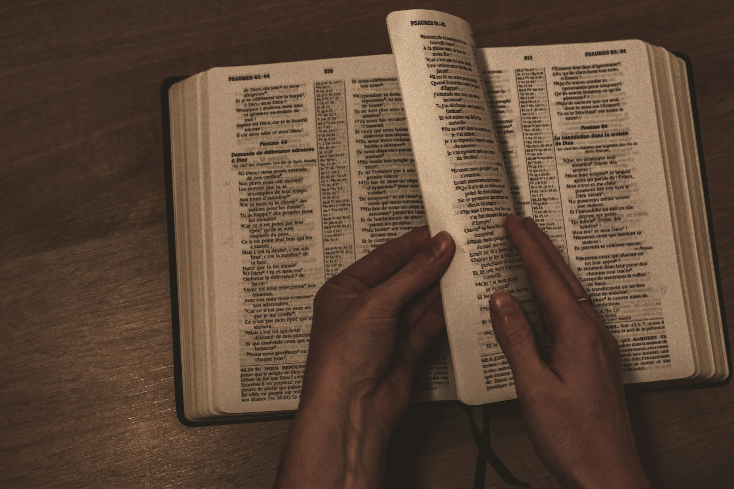 Person Searching in Bible - Bible Verses About Lust
