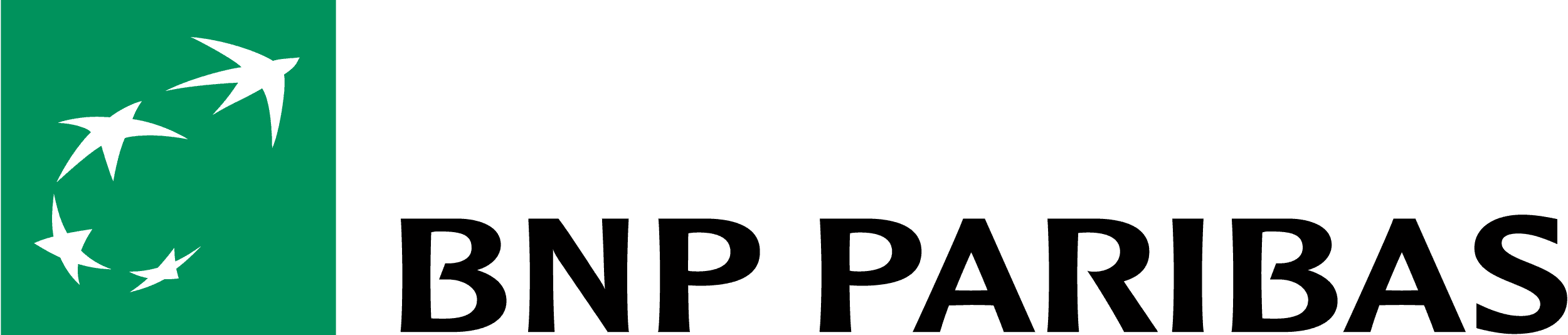 BNP Paribas Logo