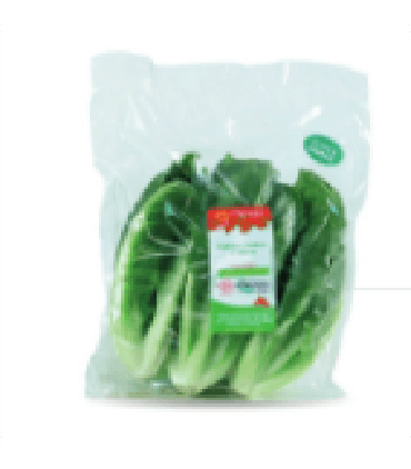 Foto de Alface Snack