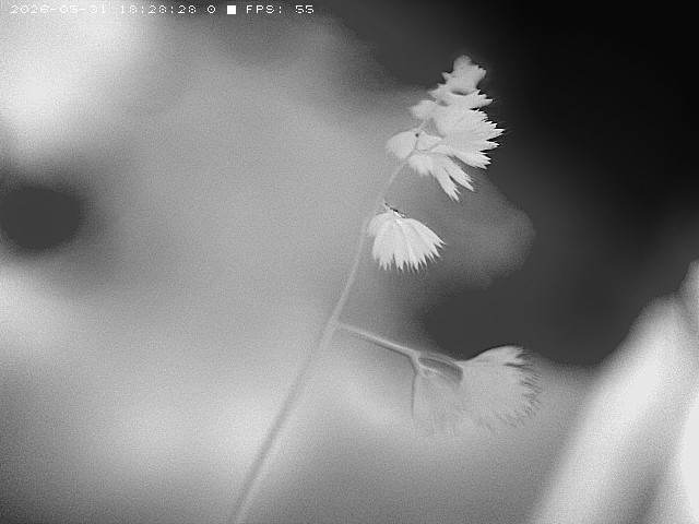 Long-wave infrared radiation