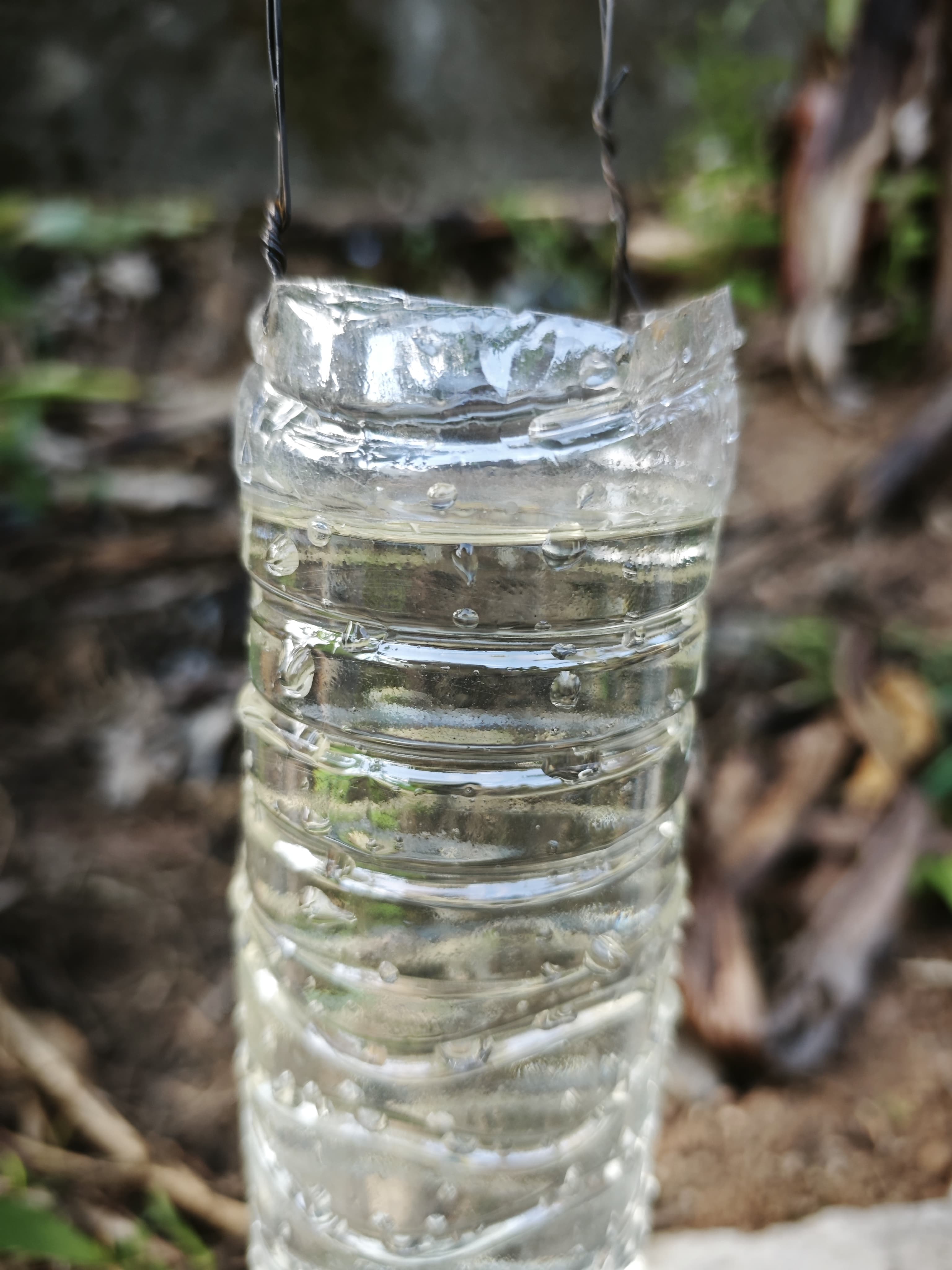 woman in black crew neck t-shirt wearing brown framed eyeglasses standing on rocky shore during
