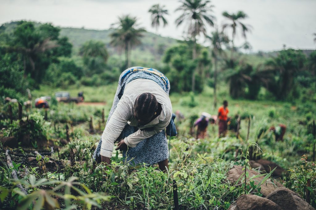 farming