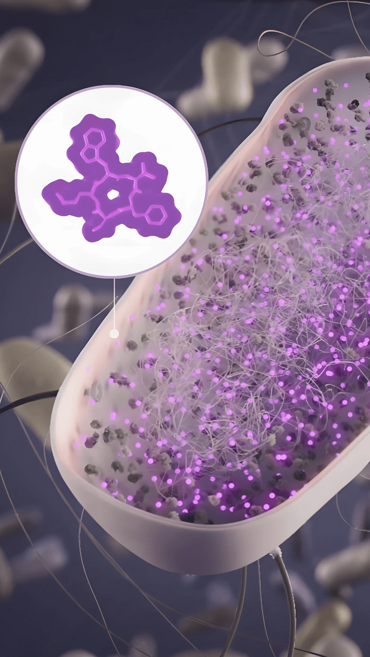 Transposases active site shown as ribbons inside the molecular complex