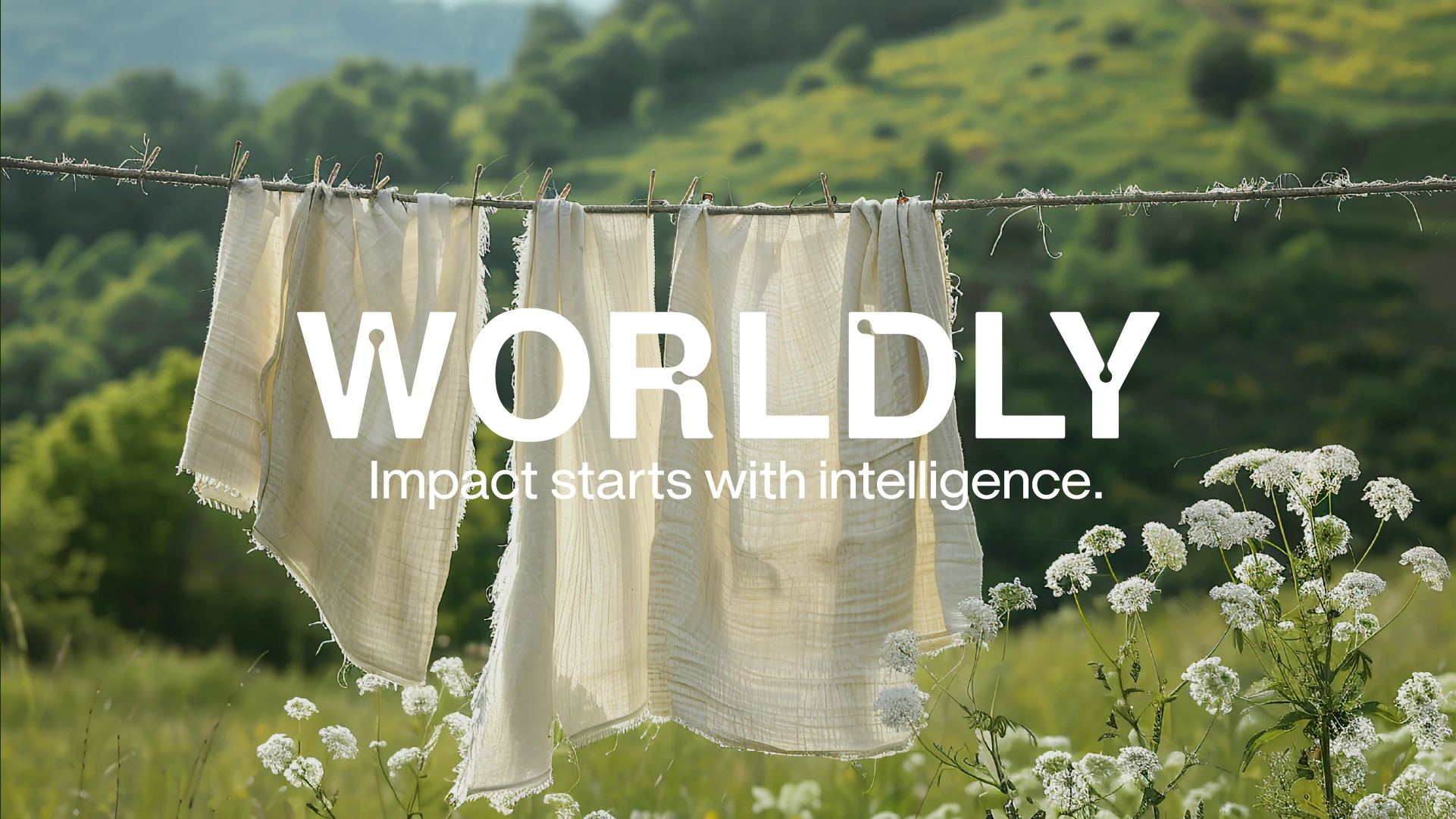 Wordly brand logo and tagline, 'Impact starts with intelligence,' overlaid on a background of fabrics draped over a clothesline in rolling green hills.