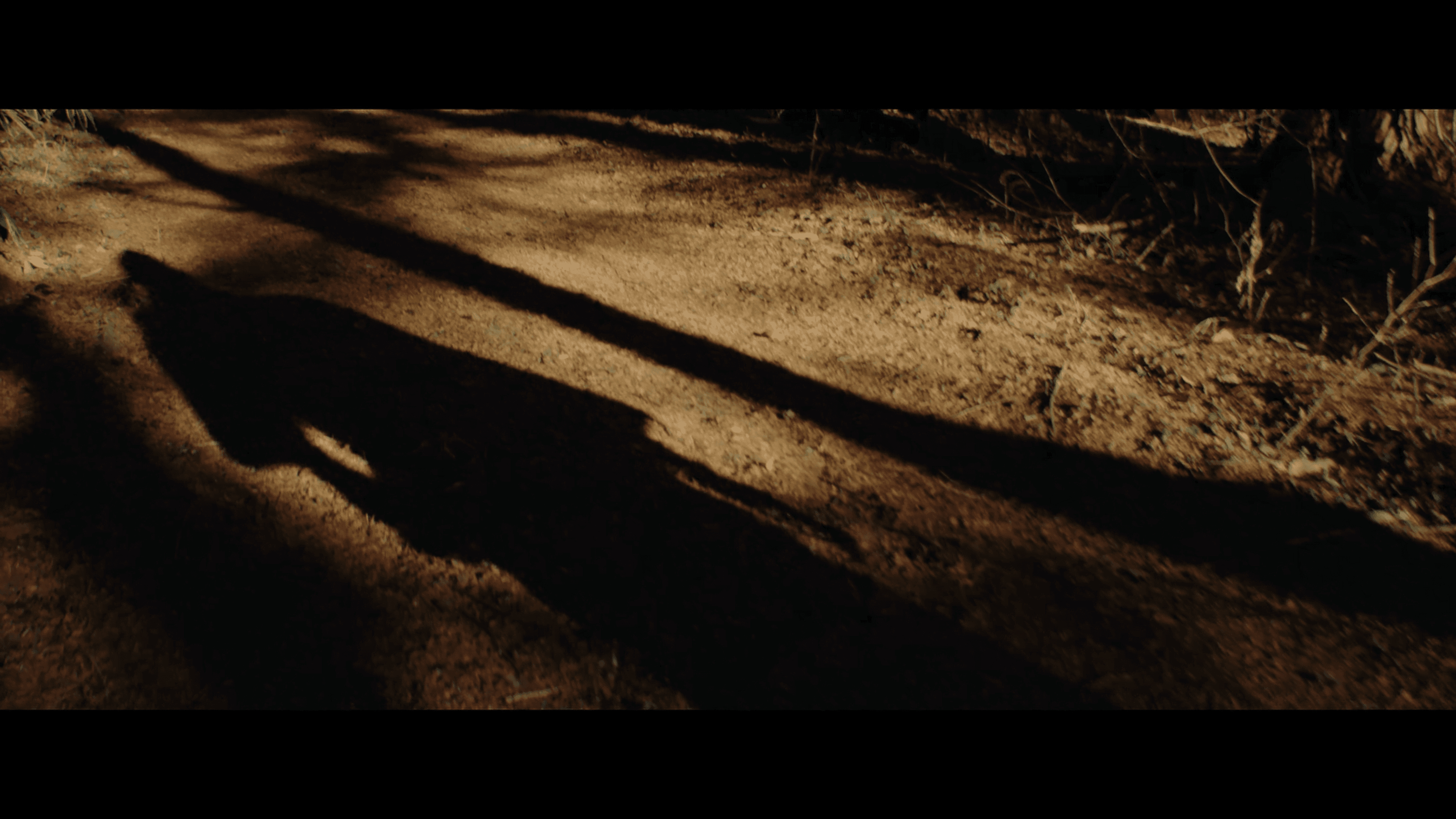 Karuizawa Documentary | David Hewett | by DMBZ Tokyo Video Production 