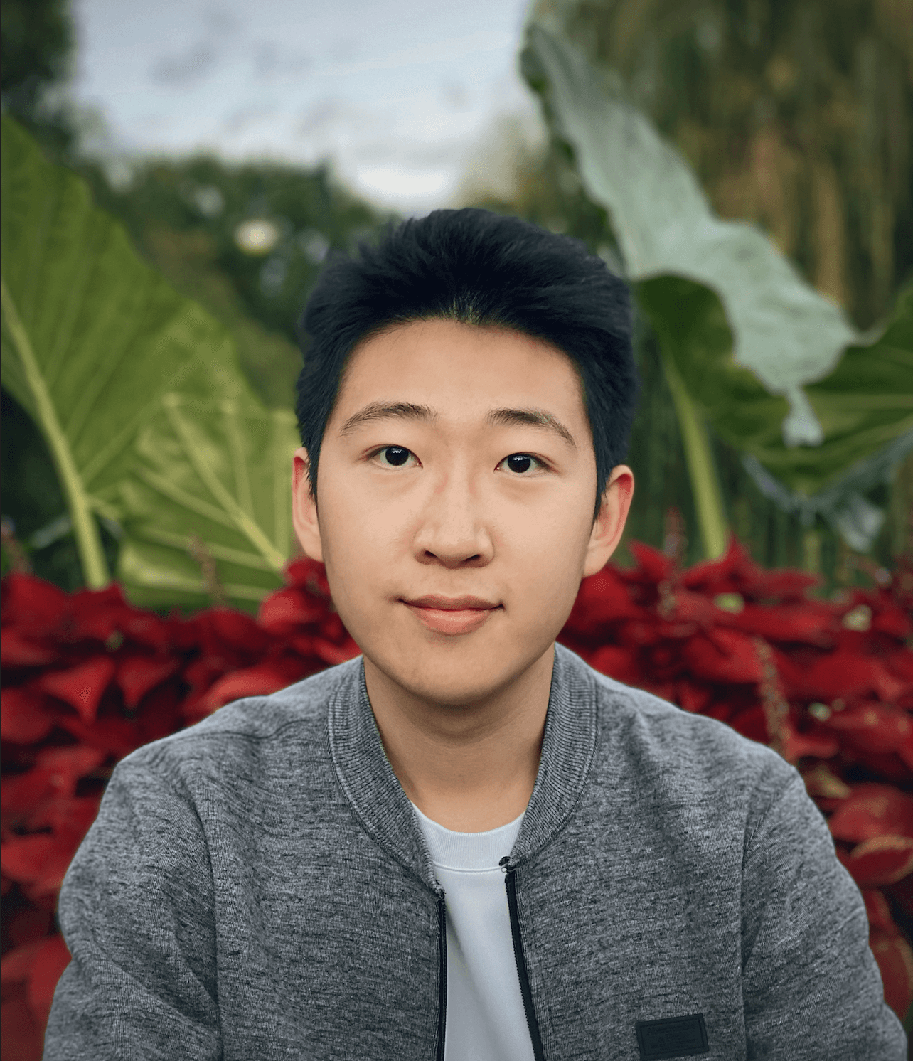BG Image