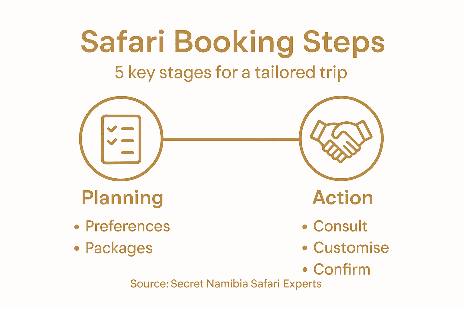 Infographic outlining Namibian safari booking steps