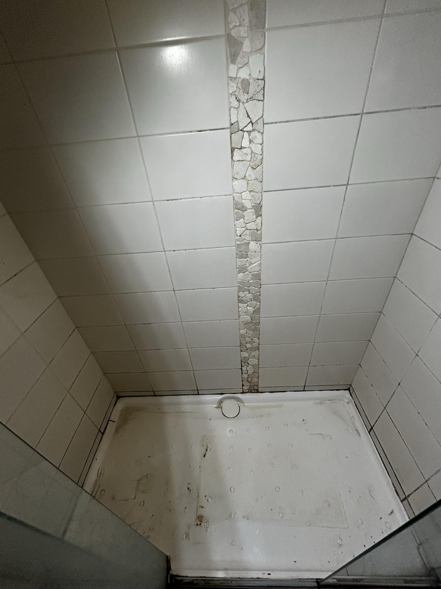 Chalky build-up on shower tiles before Save n Seal came