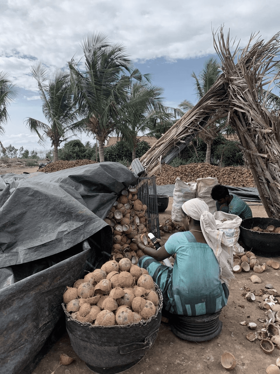 a photo of women sorting the coconut shells