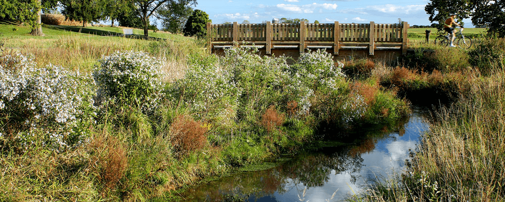 Floodplain and bridge