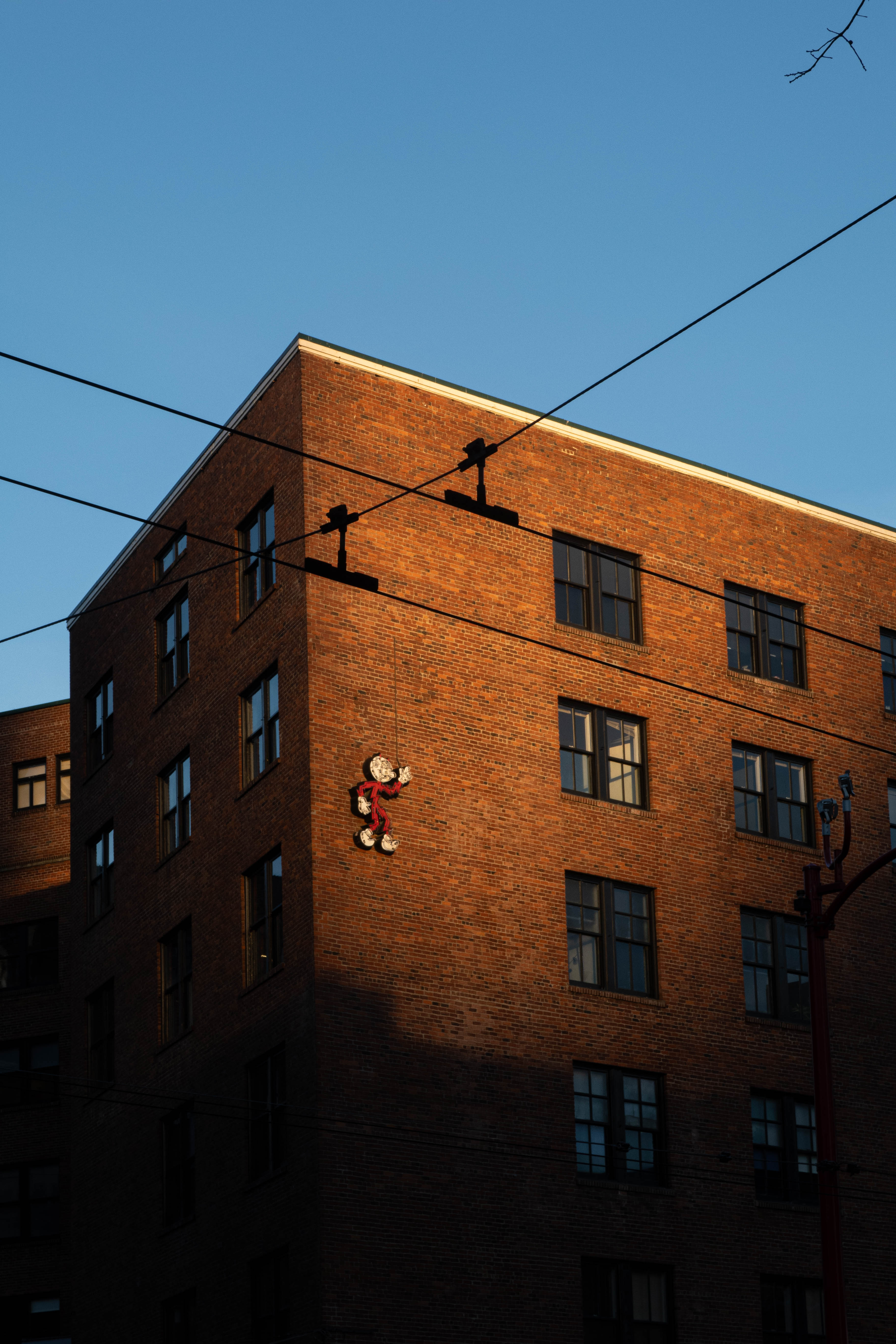 A close-up of a hand wearing multiple decorative rings against a blue background.