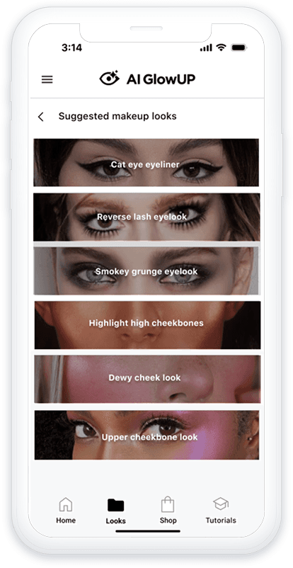 Suggested Looks Image