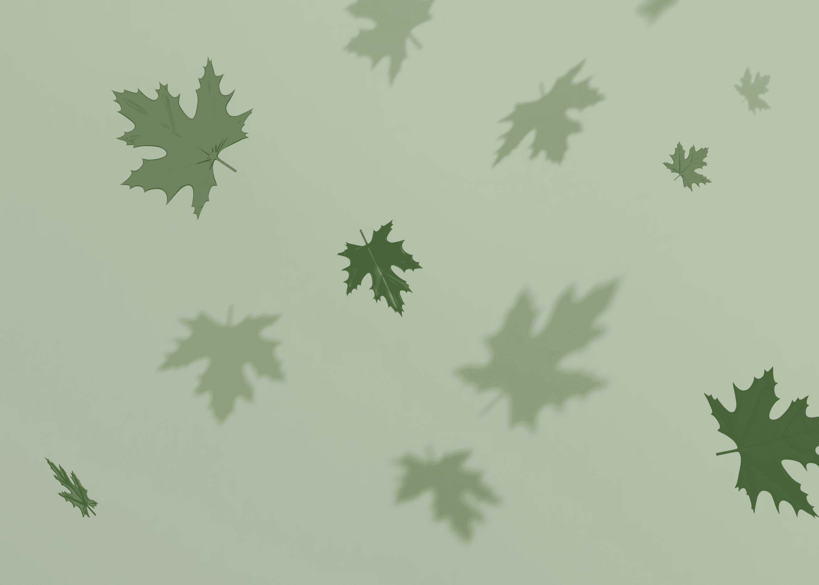 Illustrated pattern of falling green maple leaves