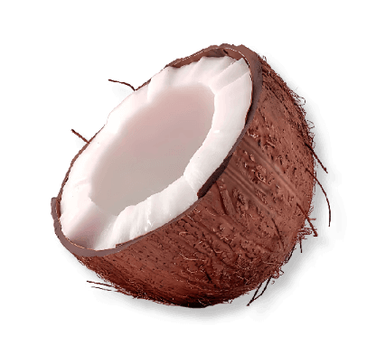 มะพร้าวอ่อนอบแห้ง Aromatic Young Coconut Dried Fruits