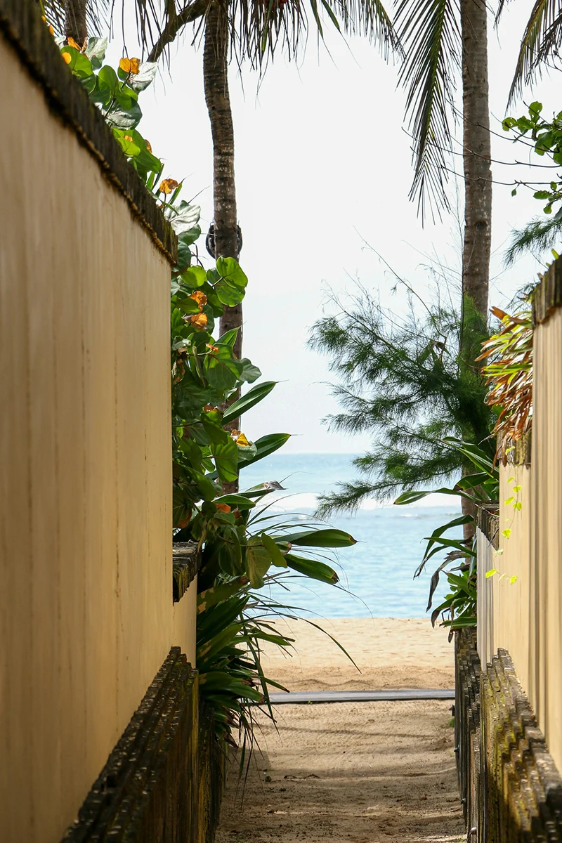 Narrow tropical pathway leading to a quiet sandy beach and ocean view.