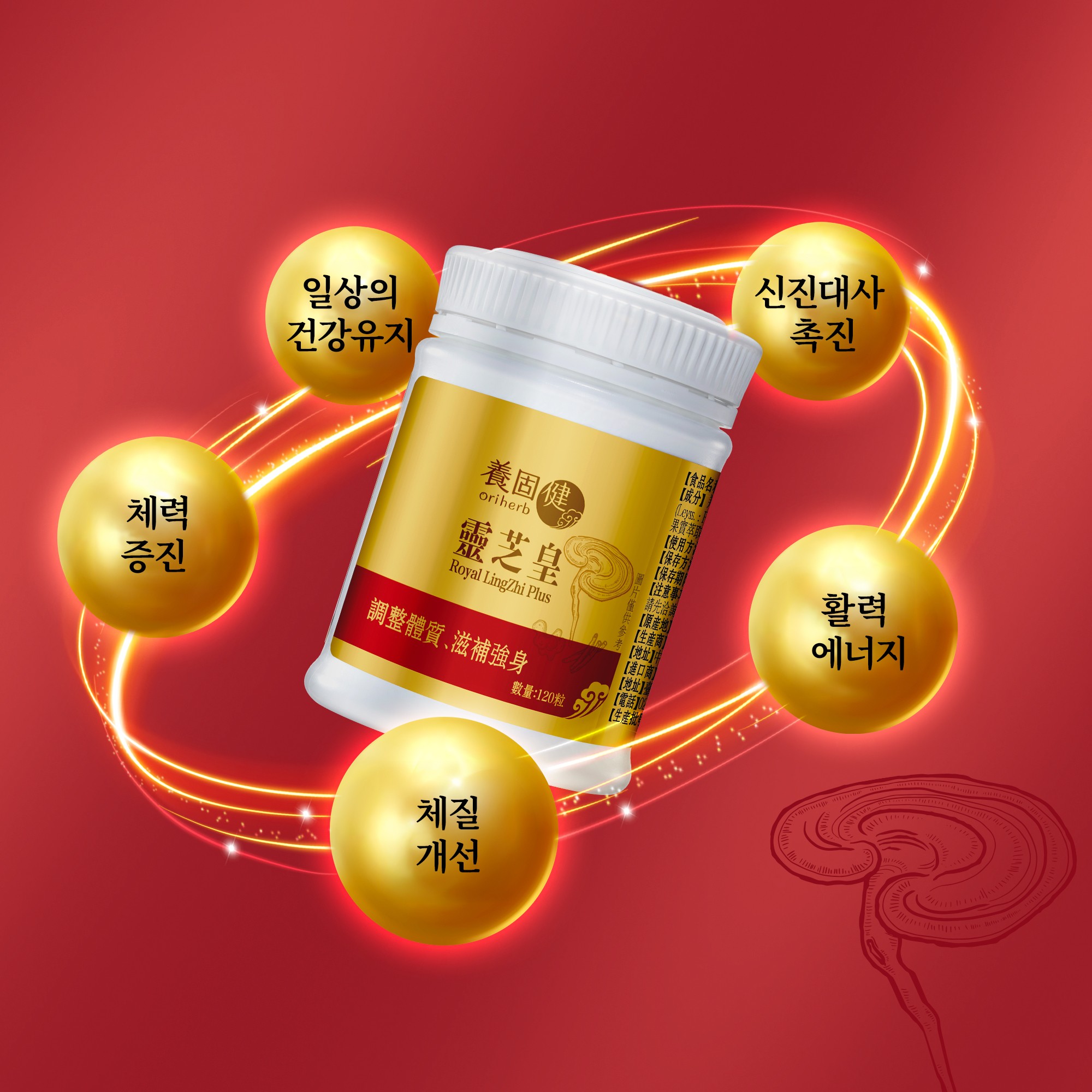 灵芝皇