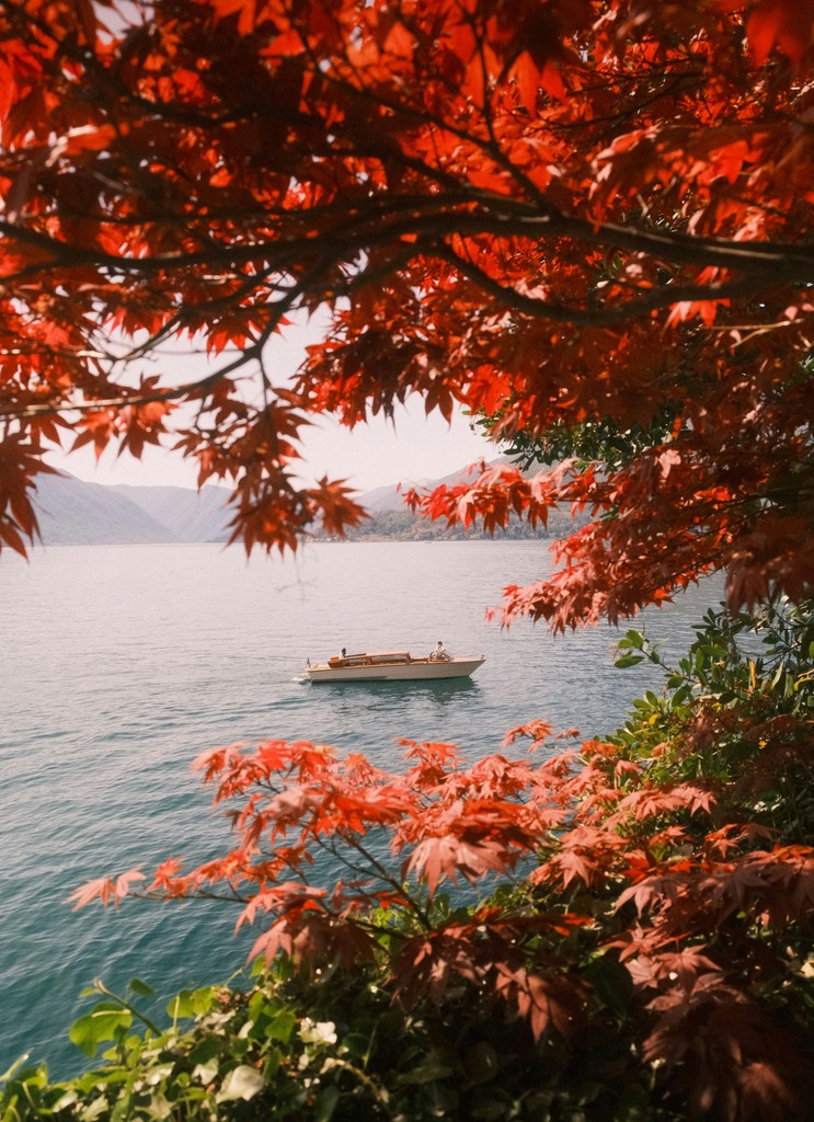 A boat on a lake with a red tree near the shore