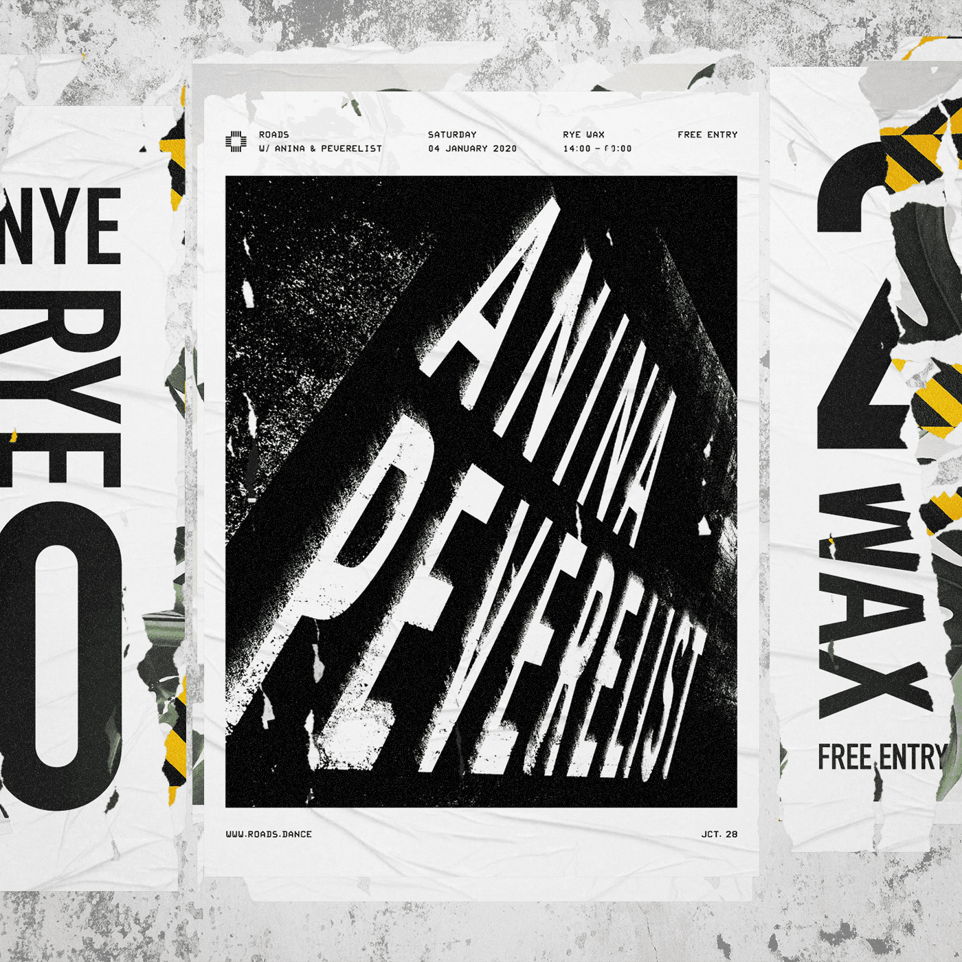 Typographic black and white poster that reads "Anina Peverelist" embedded in a scene has been Photoshopped to resemble a public space with other fly posters