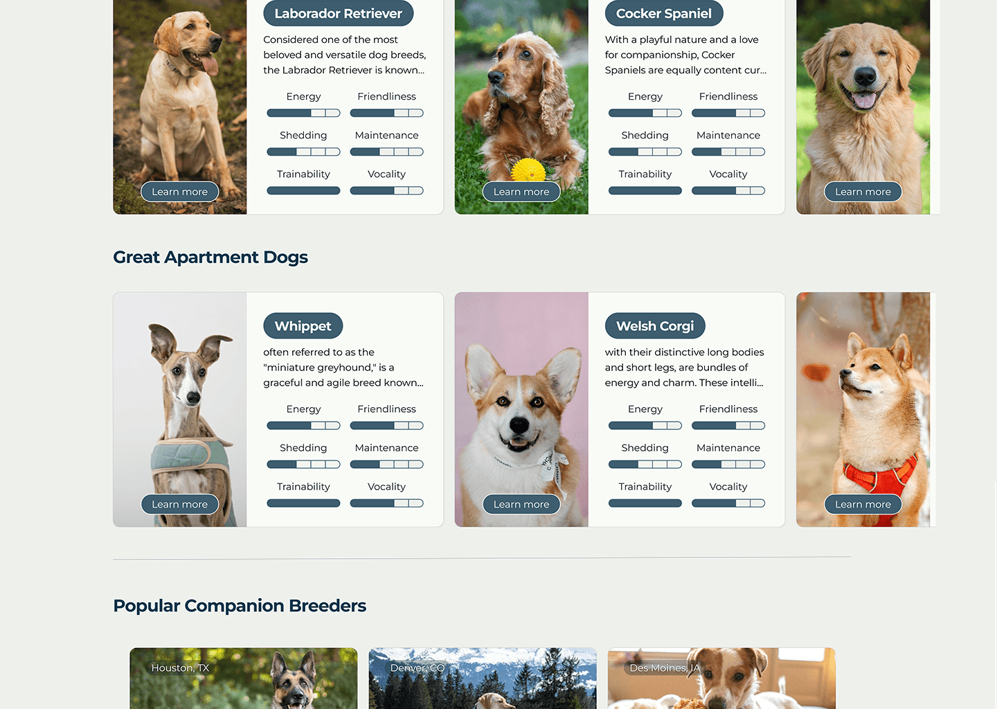 a dog breeder's social media post about hikinh with their dogs.