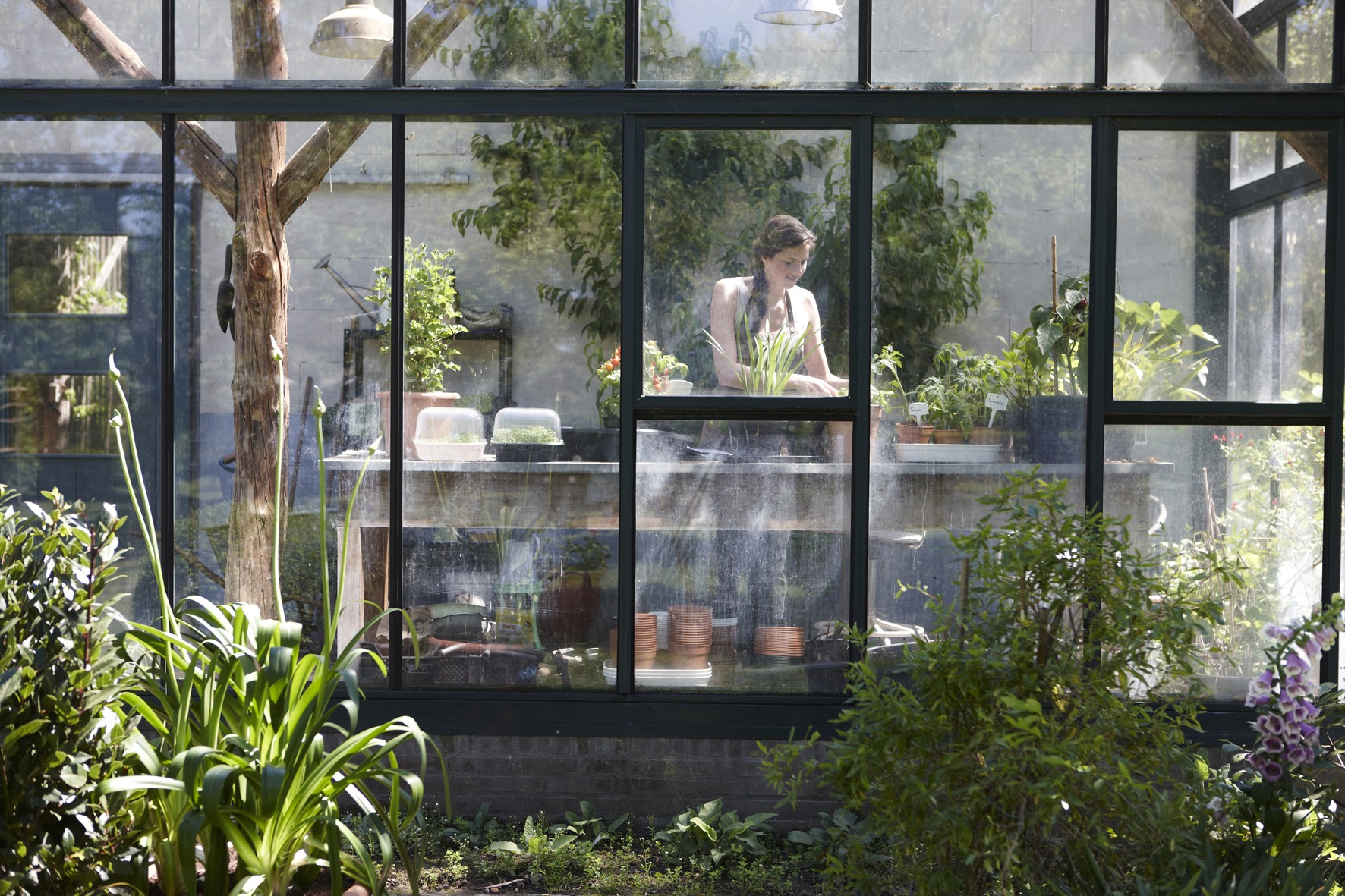 zwarte kas groenten en kruiden kweken 