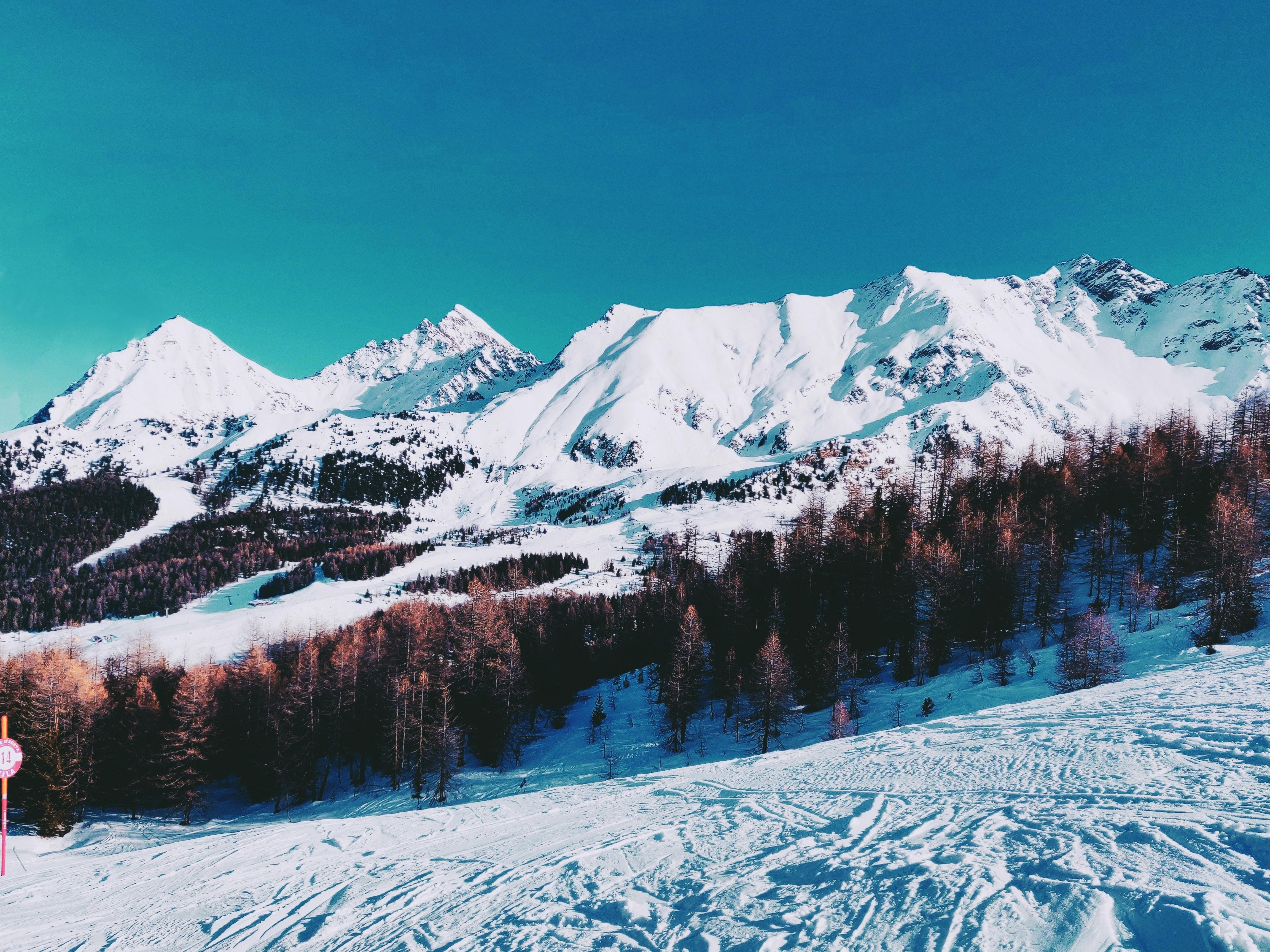 curs instructori acreditat snowboard si ski