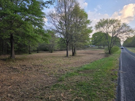 forestry mulching