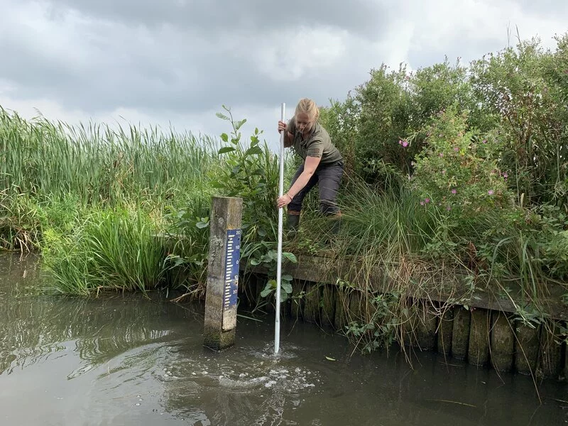Werken bij Blom Ecologie