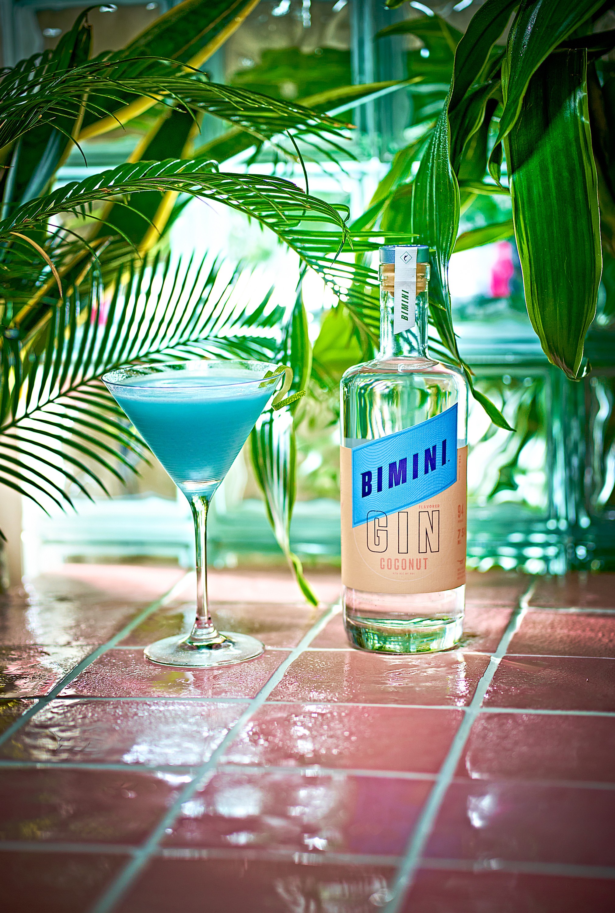 Bimini project photograph