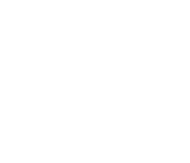 Large N logo 