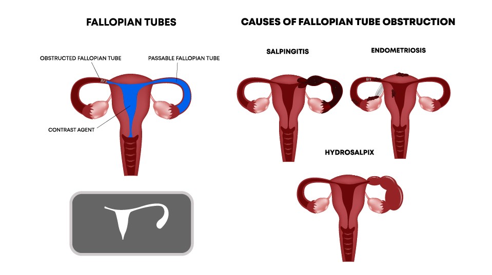 Full Dashboard with Sidebar