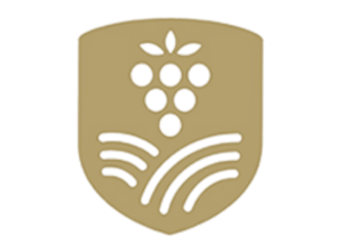 Bodem Logo Dark