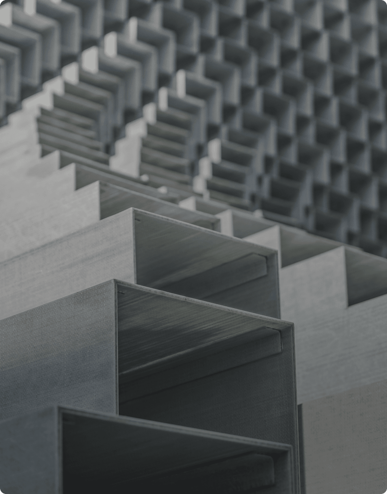 planters with plant near area rug inside room