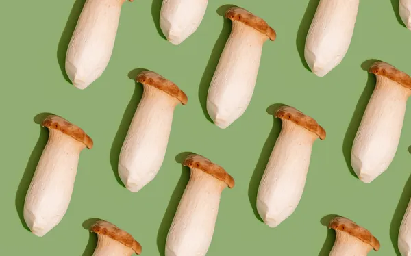 customer-survey-questions