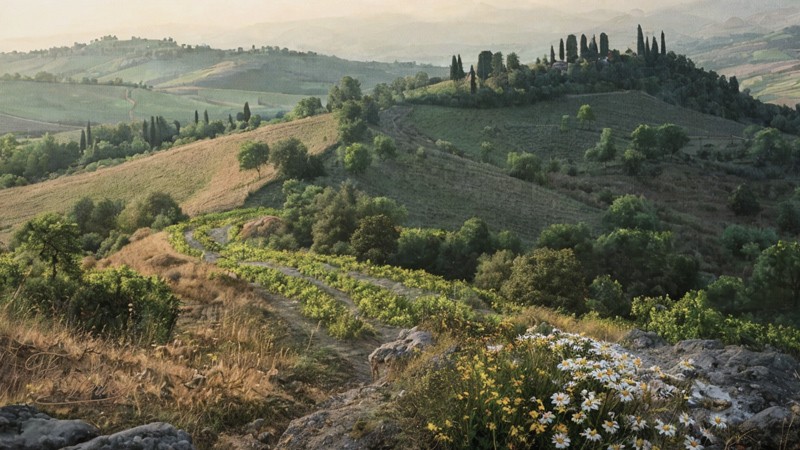 Sacred artwork by Faith and Verse. © Faith and Verse, 2026. All rights reserved. The hills of Val-di-Castro in Tuscany—the remote hermitage where Saint Romuald prophesied he would return to die alone, and where he breathed his last in his cell in 1027.