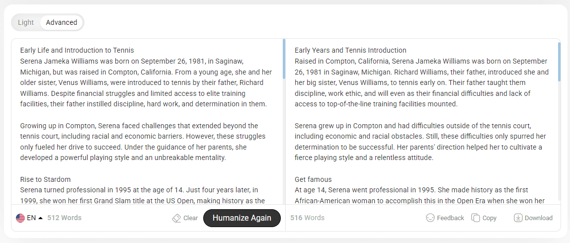 Summarizer.org AI humanizer
