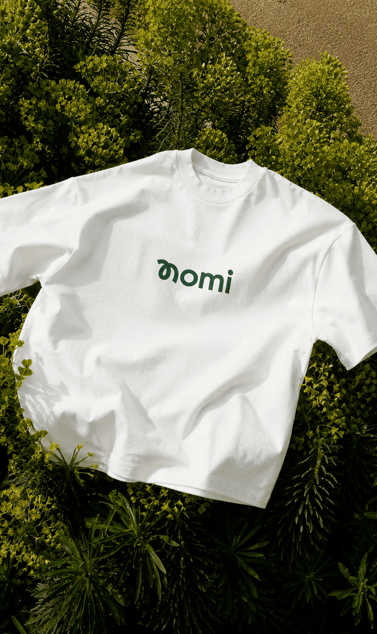 Nomi fintech brand merchandise and print assets