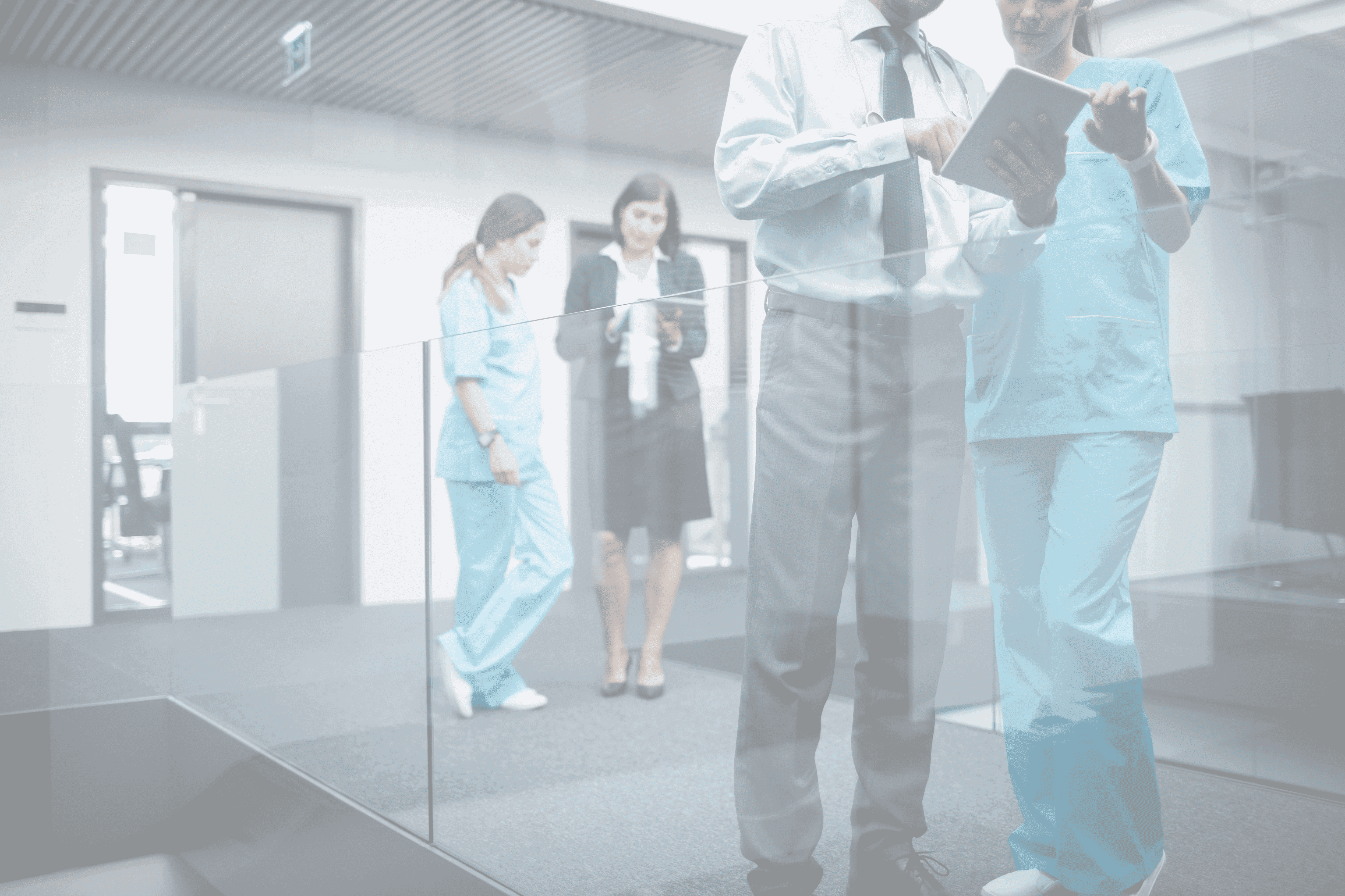 Office workers enjoy a cleaned space after a ziva cleaning service cleaning