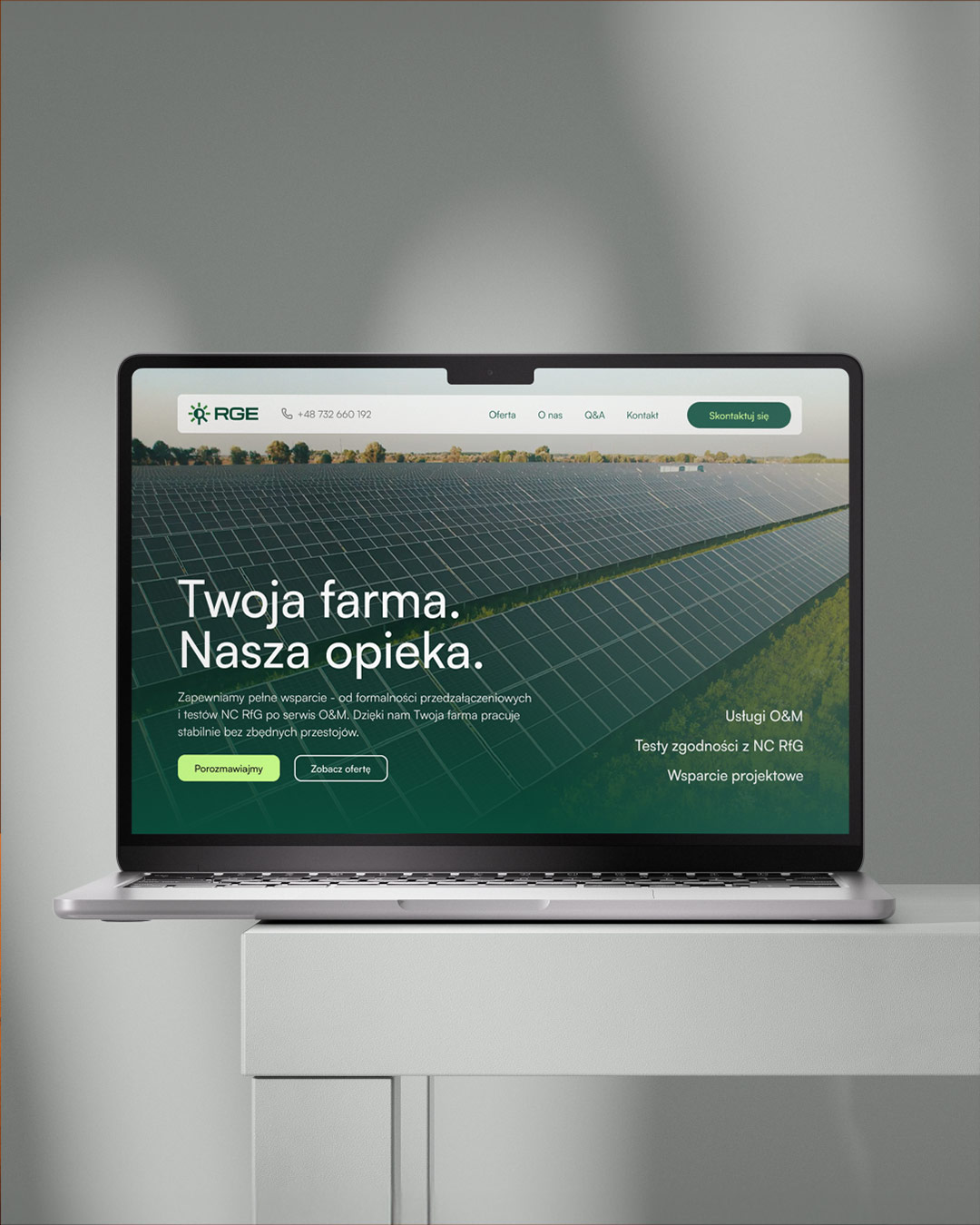 Strona internetowa dla marki OZE