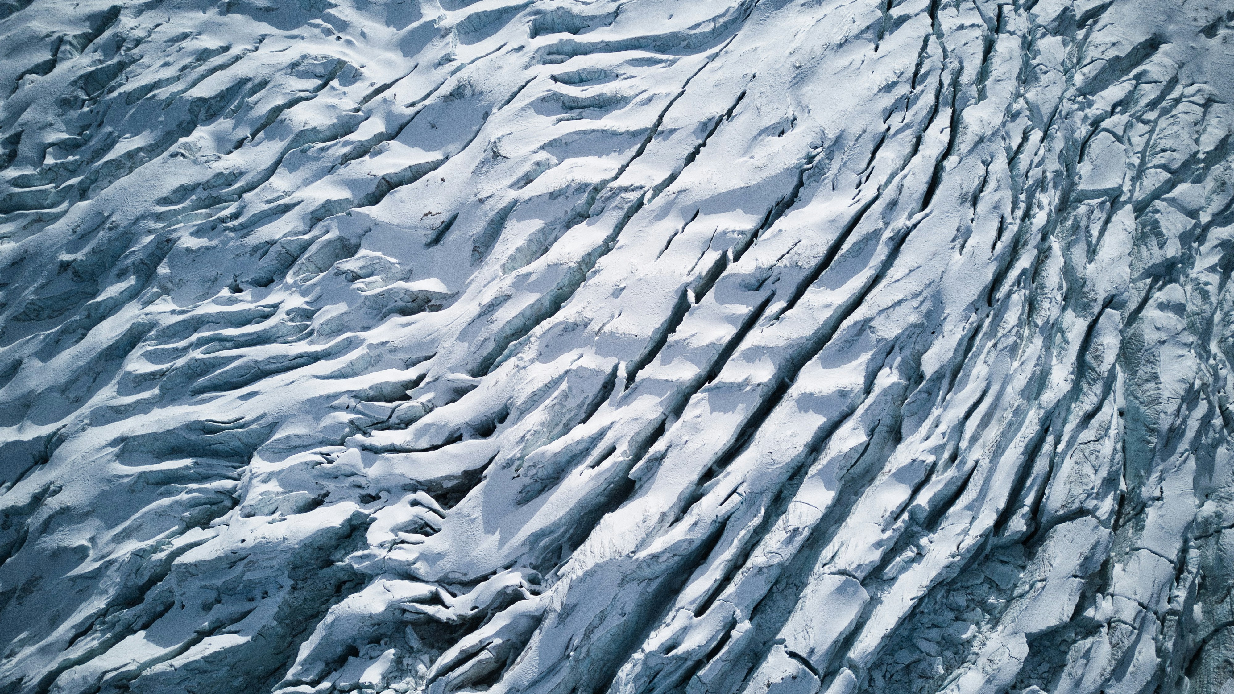 Trapped In Ice