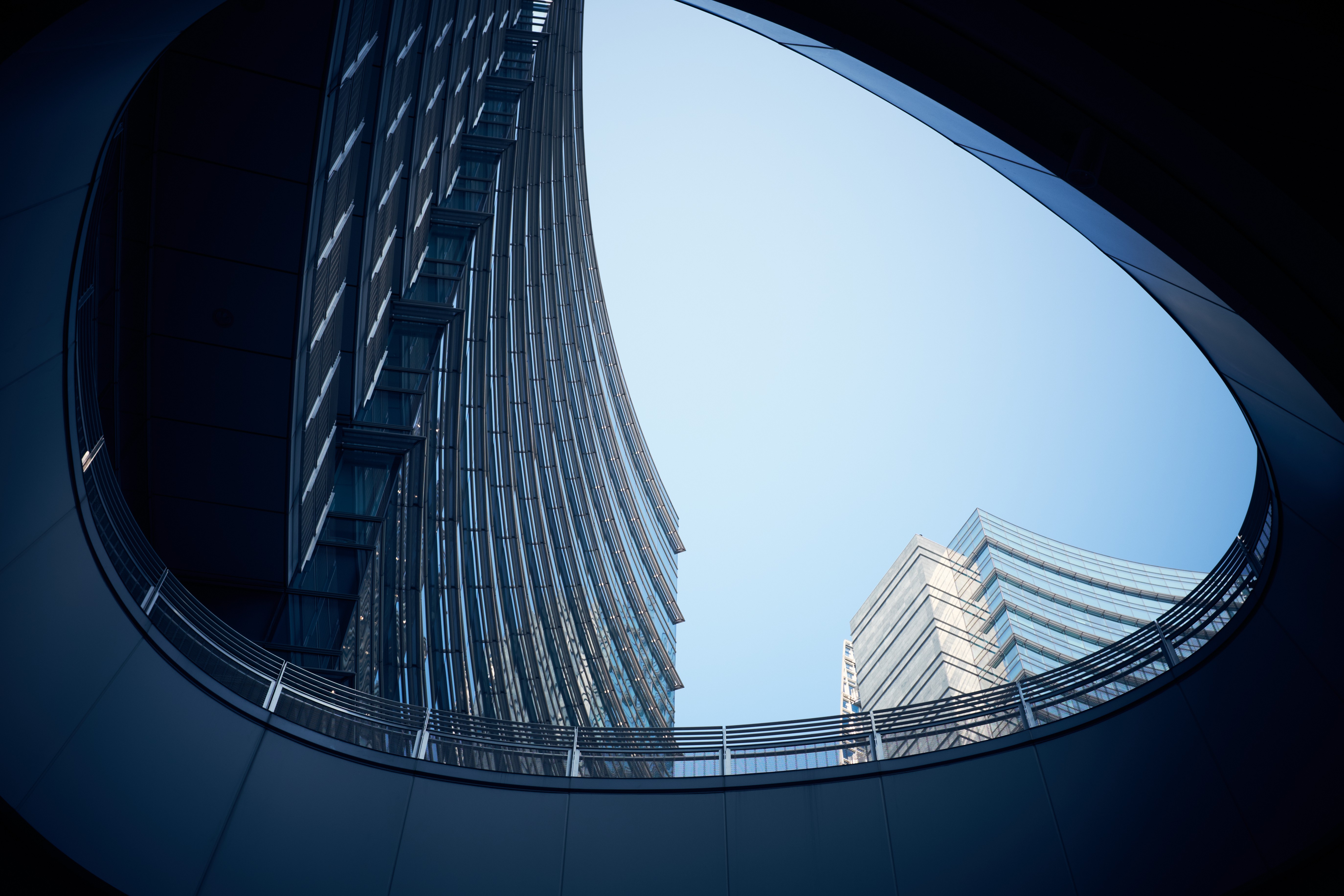 Close-up of a tree stump showing growth rings and a textured brown wood surface.