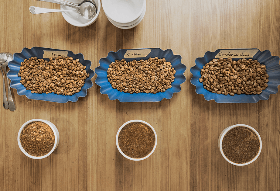 Three blue, scalloped-edge dishes are arranged on a wooden table, each containing a different type of coffee beans. From left to right, the dishes are labeled “Coffee,” “Cremitas,” and “Cremositas.” Three small white bowls filled with ground coffee are positioned below the dishes. Silver spoons rest on the table near the bowls, and stacked white plates are visible in the upper left corner.