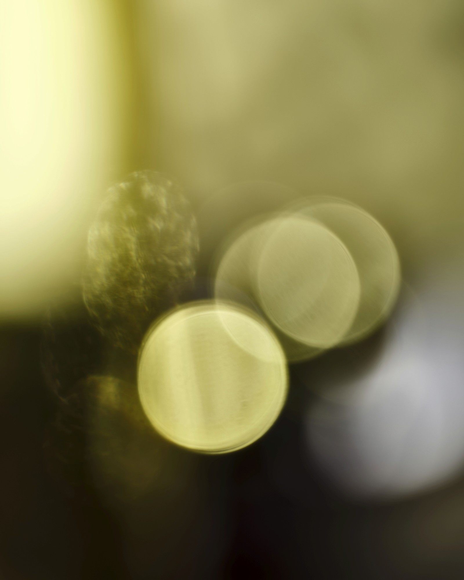 Abstract blurred light circles in soft yellow and green hues.