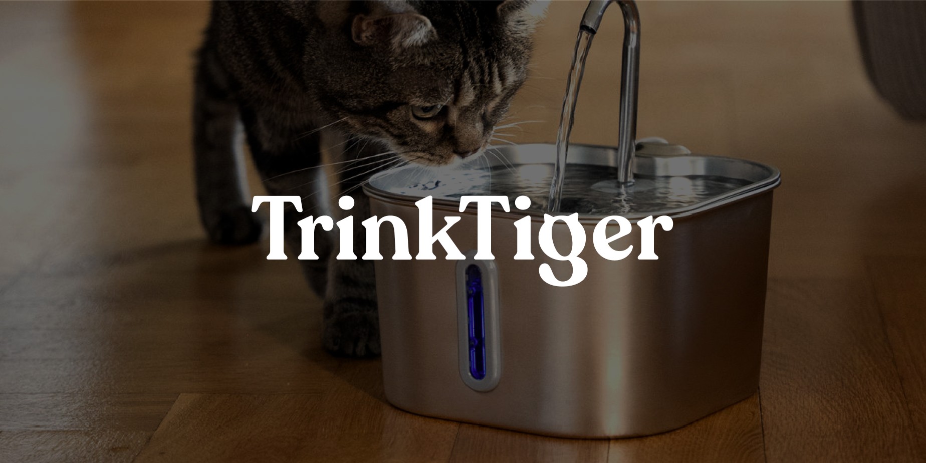 Brand foundation workshop defining mission and values