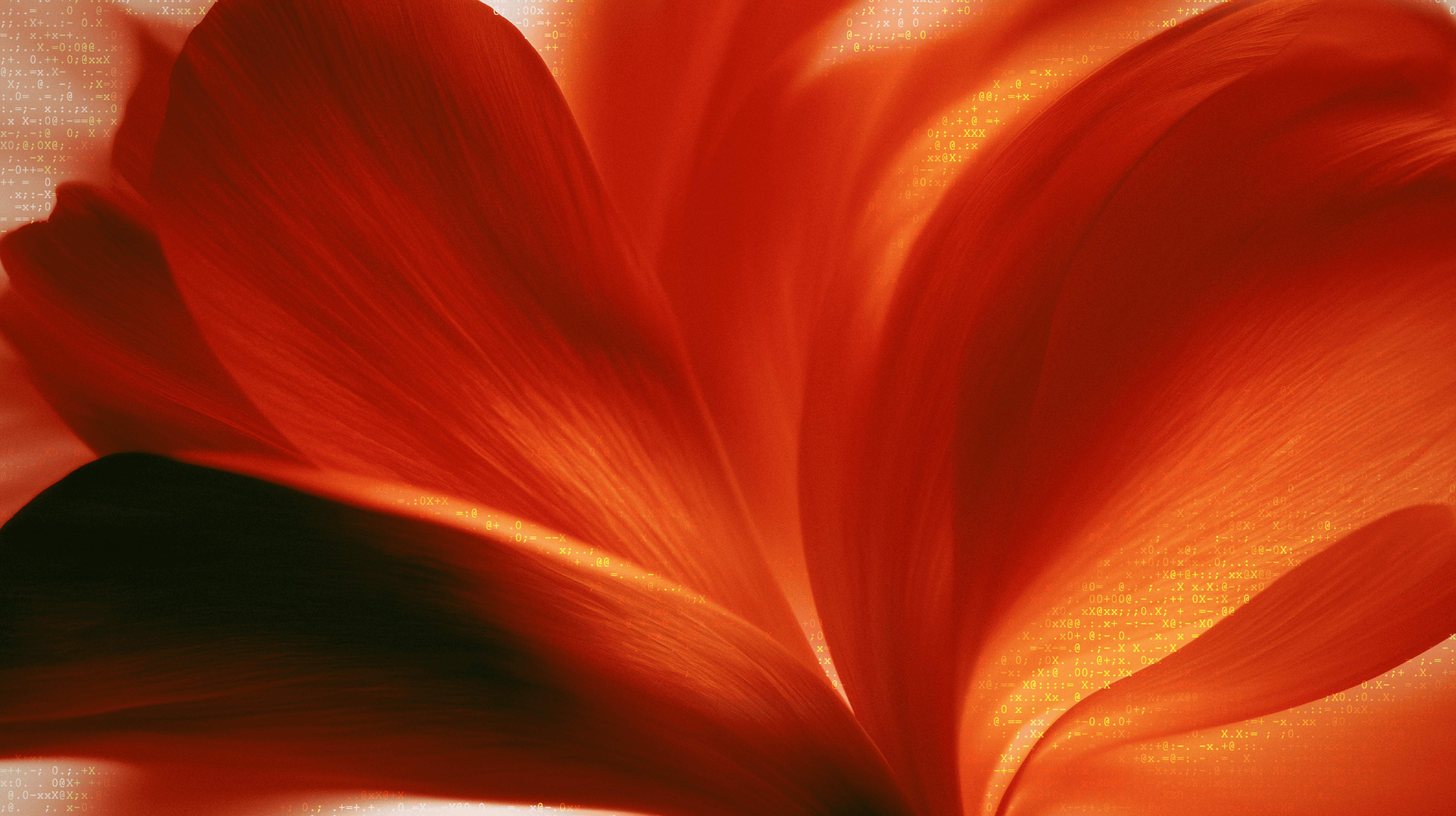 Header image for a piece on Ambient intelligence at Canvs