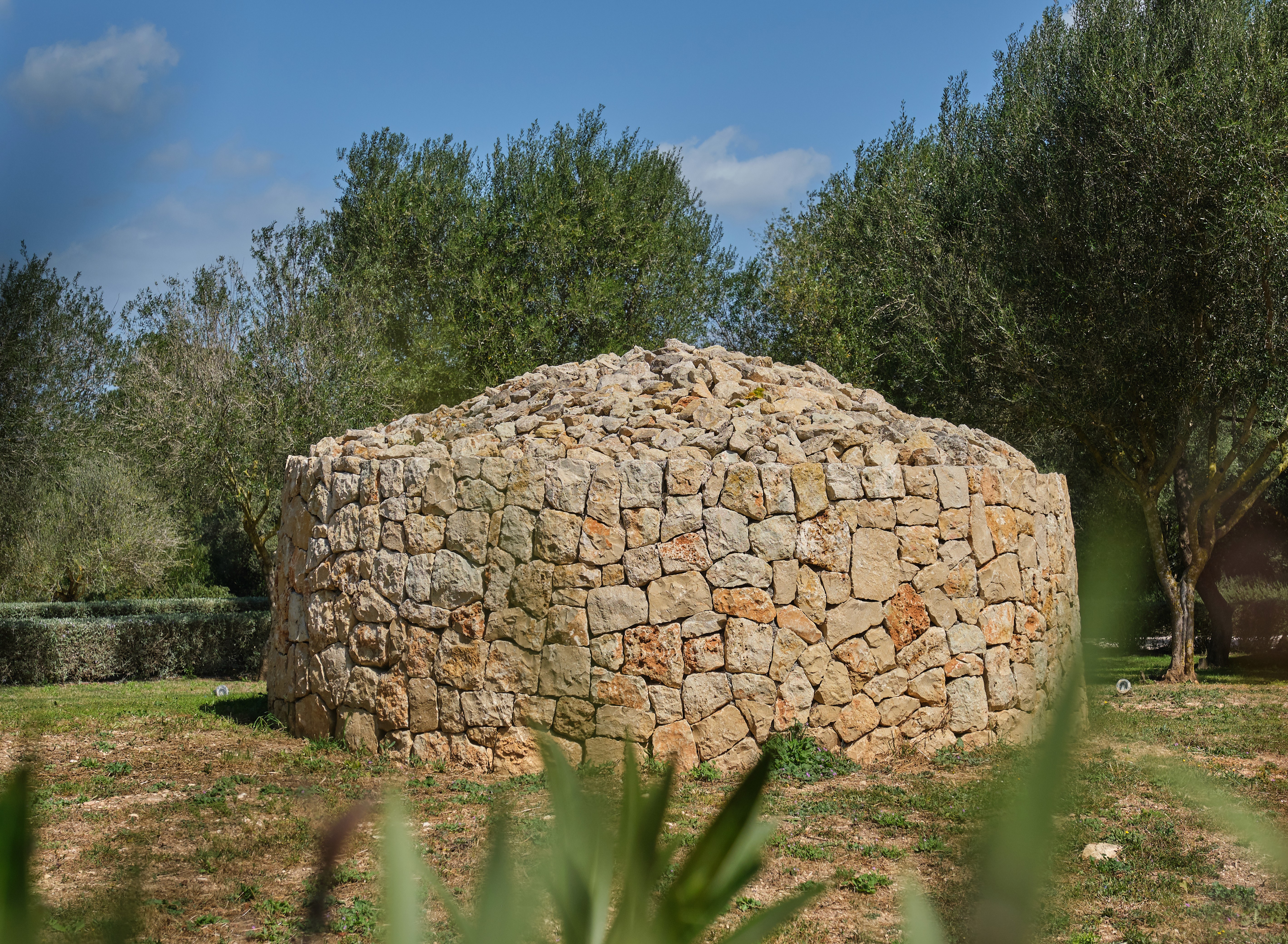 Gardens in Son Penya