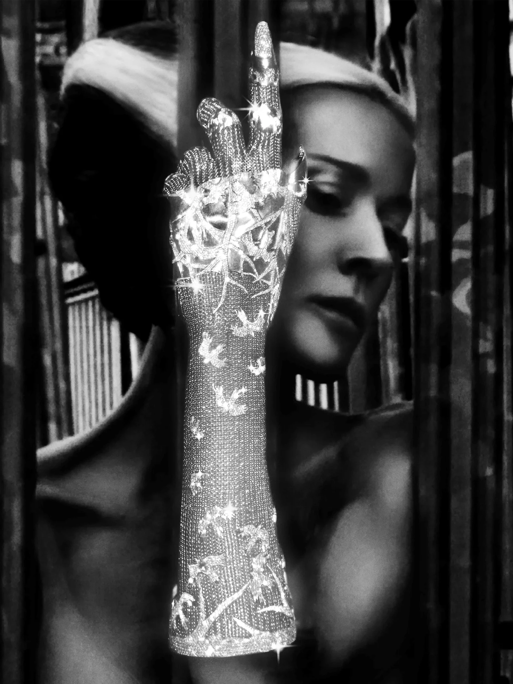 The historic Contra Mundum white gold and diamond armour glove, custom created for fashion icon Daphne Guinness by master craftsman Shaun Leane.